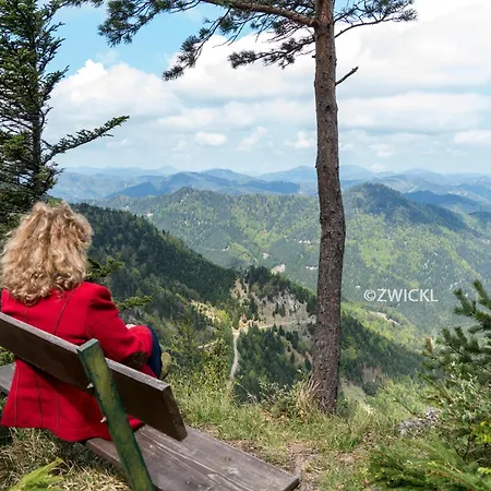 Hotel Paradiesquelle 4 4*