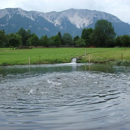Paradiesquelle 4 Puchberg am Schneeberg