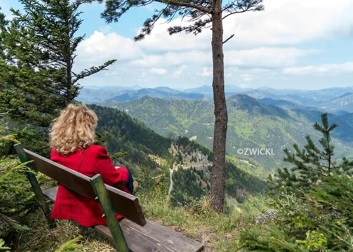 Hotel Paradiesquelle 4 4*