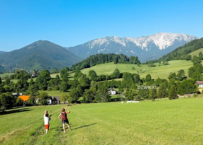 Paradiesquelle 4 Hotel Puchberg am Schneeberg