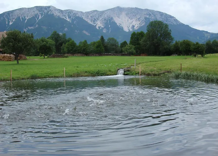 Paradiesquelle 4 Puchberg am Schneeberg